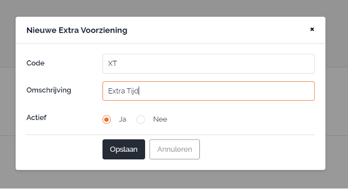 2. invoer gegevens.png